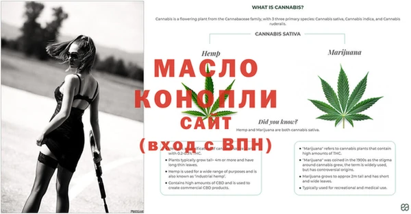 ГАЛЛЮЦИНОГЕННЫЕ ГРИБЫ Навашино